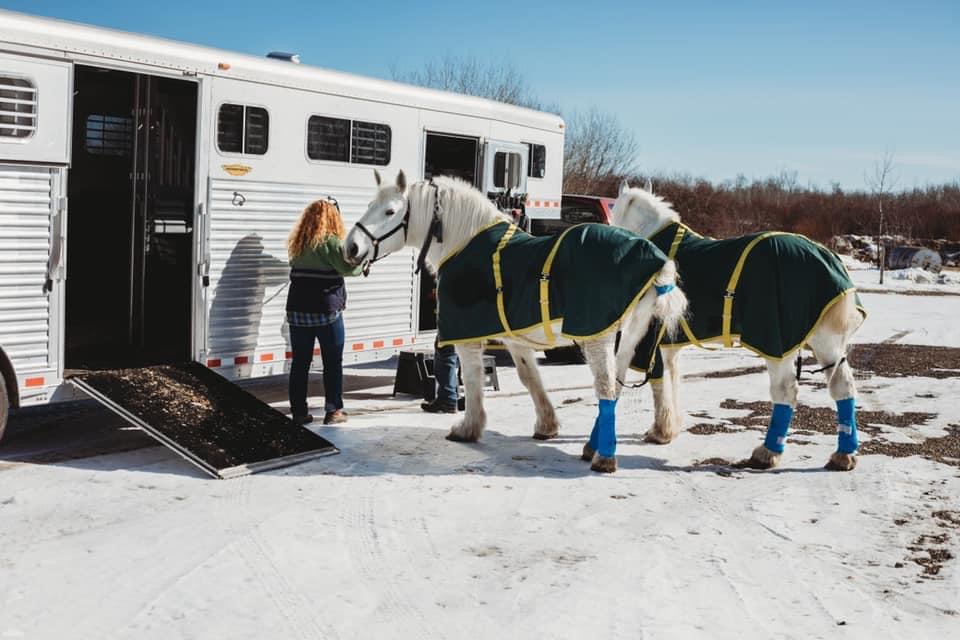 Iron Horse Turtle Ranch Carriage and Sleigh Service | 51222 RR# 224, Sherwood Park, AB T8C 1H3, Canada | Phone: (780) 718-7734