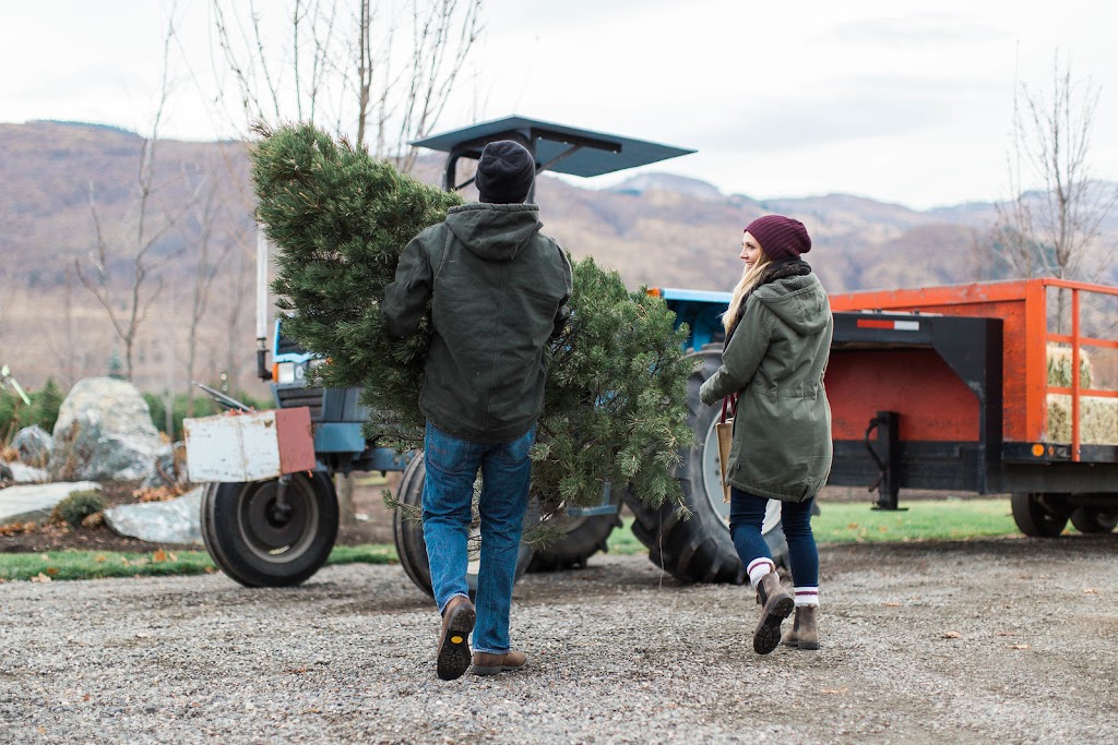 Woodward Christmas Tree Farm | 5505 Westsyde Rd, Kamloops, BC V2B 8N5, Canada | Phone: (250) 579-8739