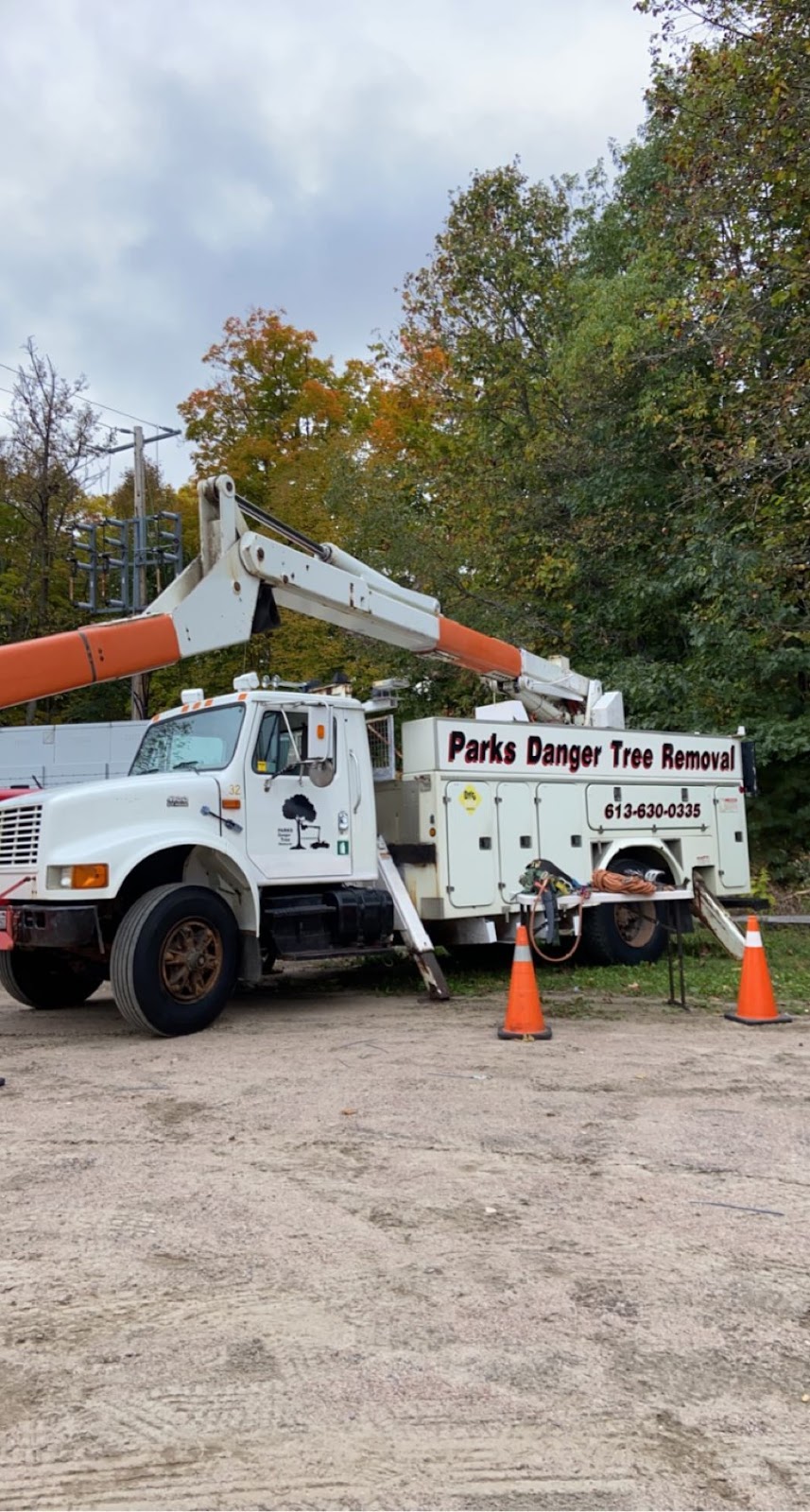 Parks Danger Tree Removal | ON-28, Bancroft, ON K0L 1C0, Canada | Phone: (613) 630-0335