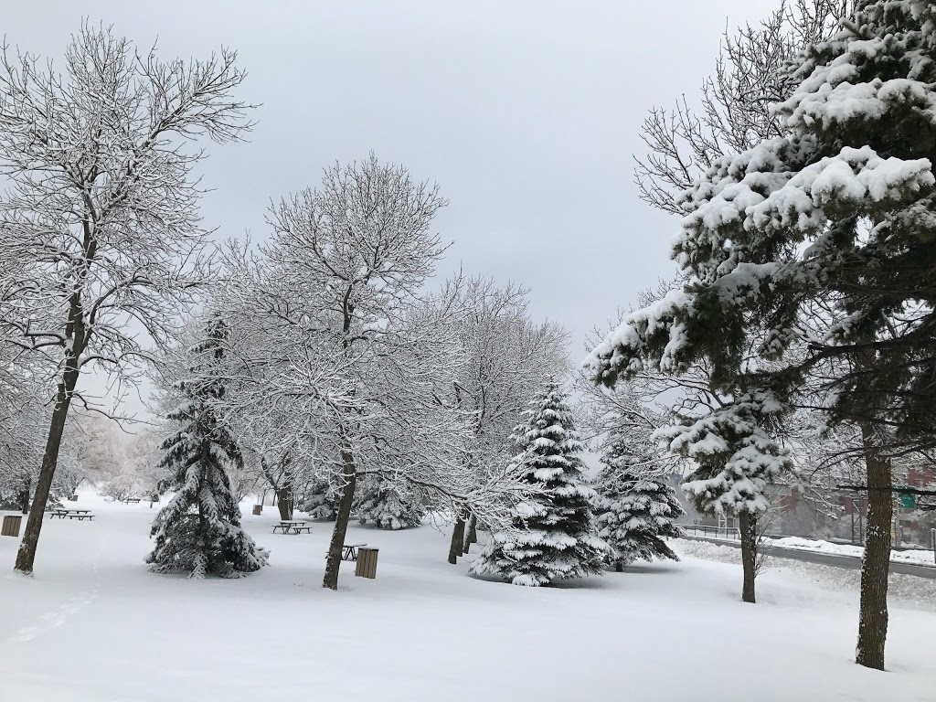 Couvée Islands Bird Sanctuary | Saint-Lambert, QC J4S, Canada