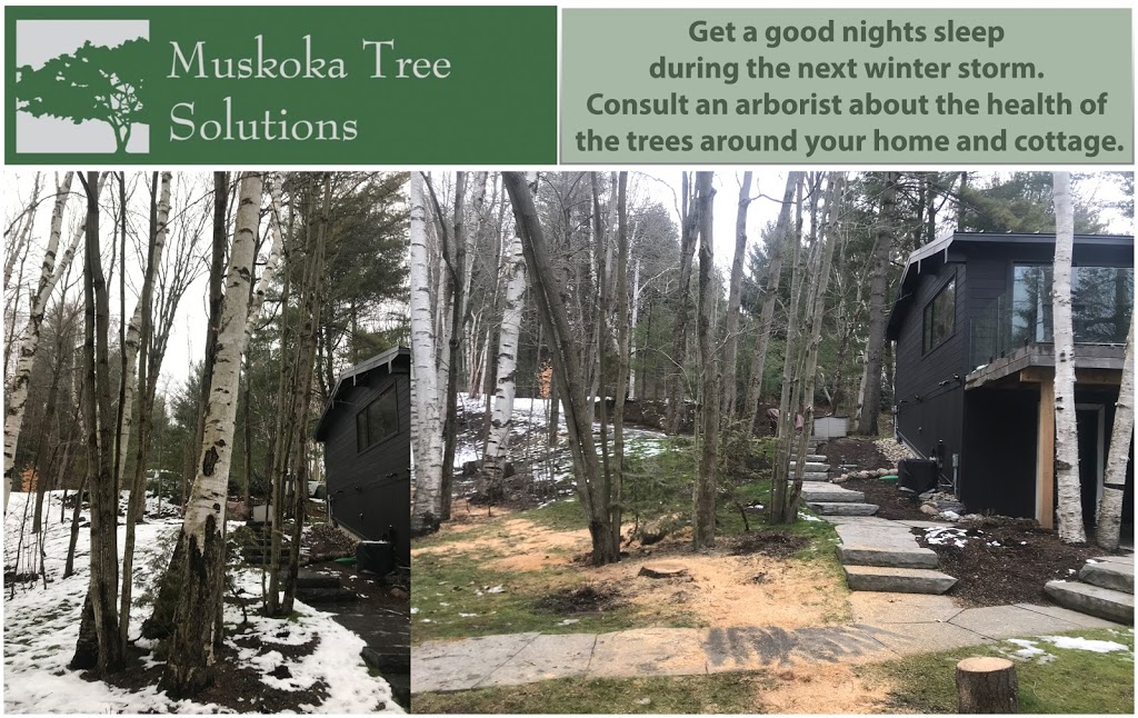 Muskoka Tree Solutions Inc. | Millar Hill Rd, Huntsville, ON P1H 2J6, Canada | Phone: (705) 388-8733