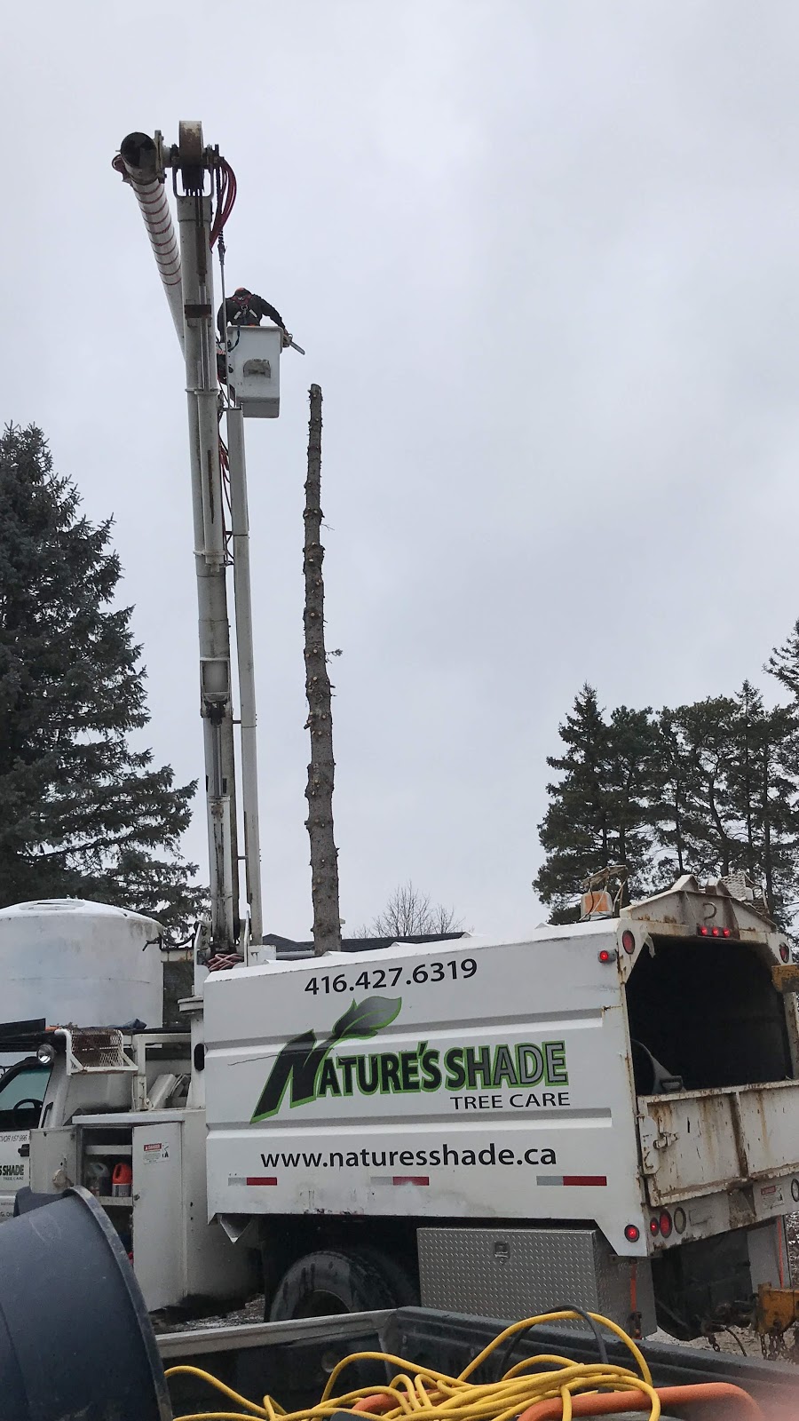 Natures Shade Tree Care | 50 Queen St, Schomberg, ON L0G 1T0, Canada | Phone: (416) 427-6319