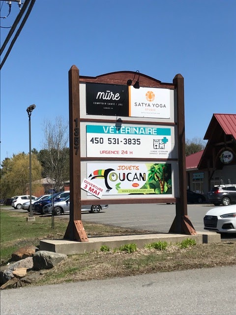 Jouets Toucan | 1357 Rue Shefford, Bromont, QC J2L 1C9, Canada | Phone: (450) 534-9931