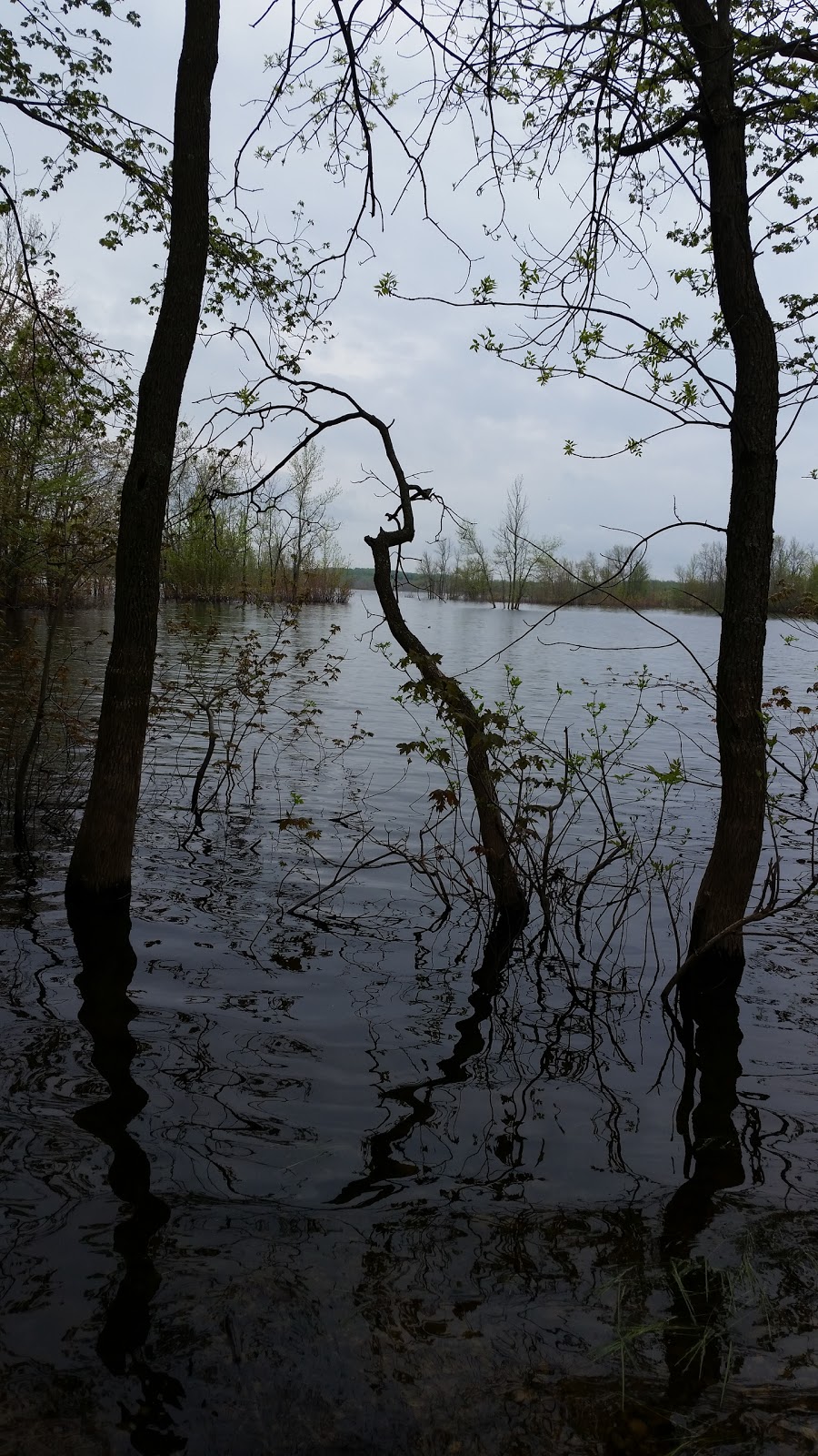 Grey Sauble Conservation Authority | Shallow Lake, ON N0H 2K0, Canada | Phone: (519) 376-3076