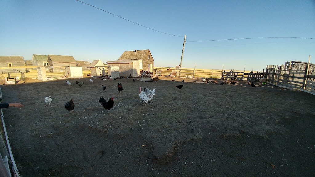 Windy Rafters Barn Dance | Range Rd 250, Macleod, AB T0L 0Z0, Canada | Phone: (403) 553-2130