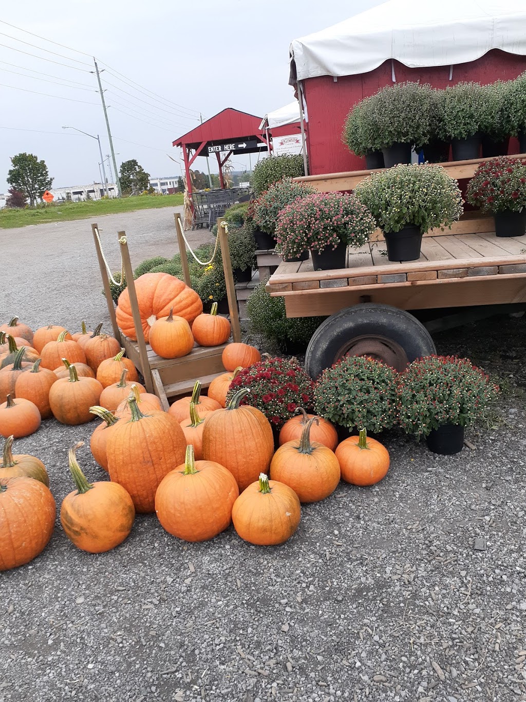 Strawberry Creek Farm Market | 17471 Woodbine Ave, Newmarket, ON L3Y 4W1, Canada | Phone: (905) 868-9996