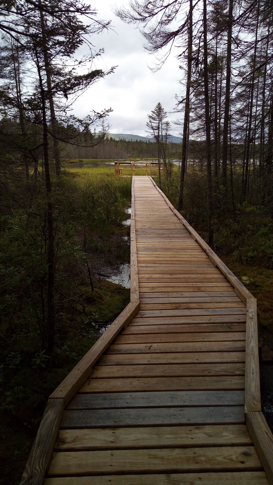 Moose Bog Trail lot | 05846 VT-105, Island Pond, VT 05846, USA