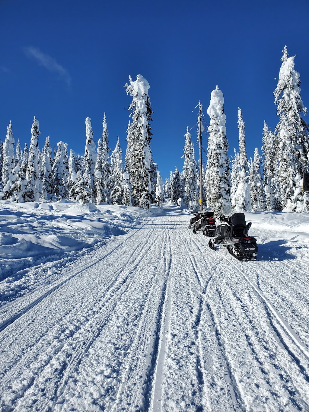 Great Canadian Tours | 1870 Glacier Ln, Revelstoke, BC V0E 2S0, Canada | Phone: (250) 837-5030