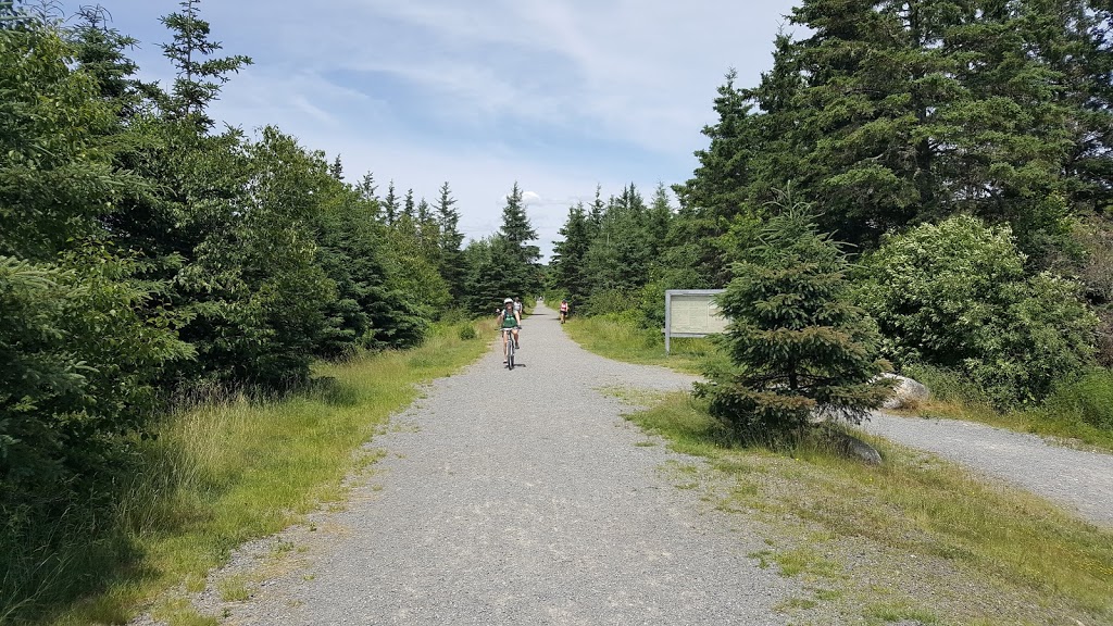 Musquodoboit Trailway trailhead | Musquodoboit Trailway, Musquodoboit Harbour, NS B3E 1J9, Canada