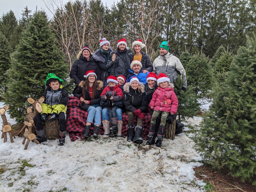 Les sapins de Noël.com autocueillette de sapin de noel | 2640 Mnt Bullock, Henryville, QC J0J 1E0, Canada | Phone: (514) 809-4442