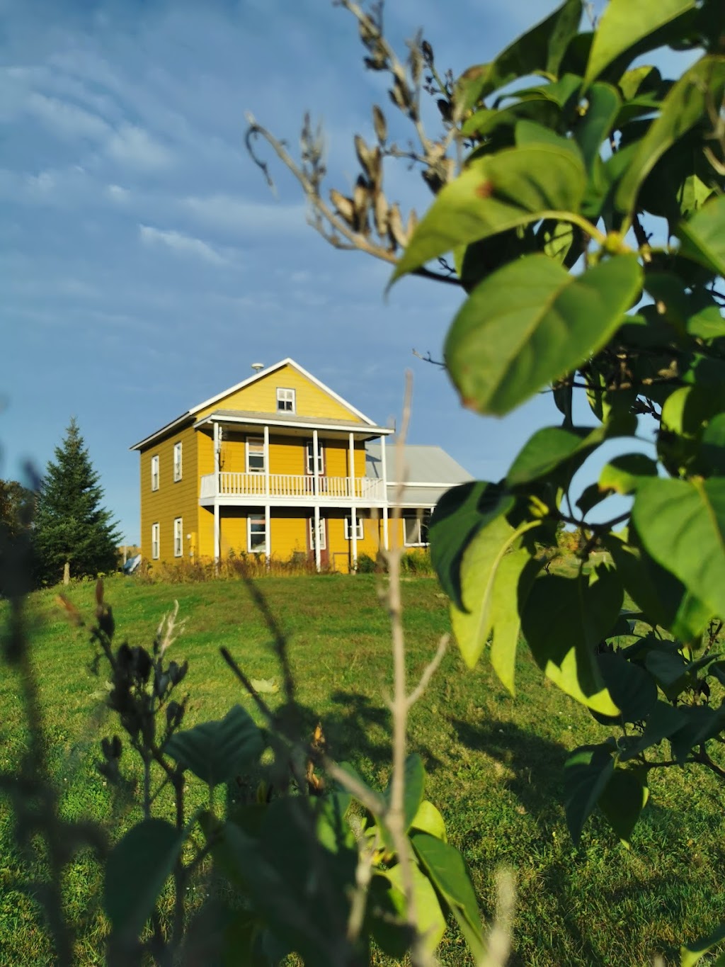 Ferme fée et fougère | 377, route 321 Nord, Ripon, QC J0V 1V0, Canada | Phone: (819) 428-1499