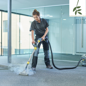 Certified Green Cleaning - Victoria | 514 Carnation Pl, Victoria, BC V8Z 6G6, Canada | Phone: (236) 302-2241