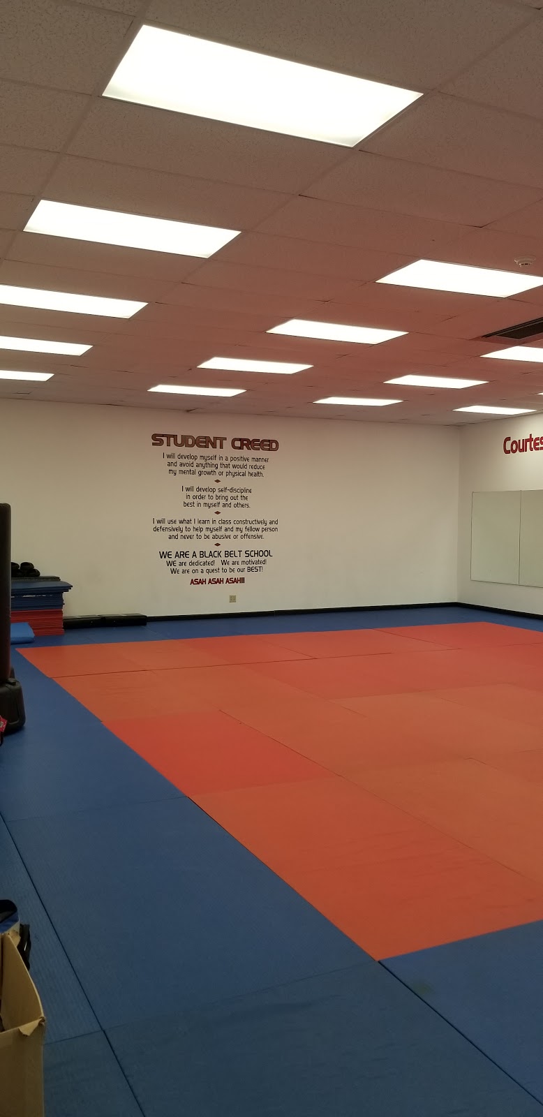 Master Khechens Martial Arts Academy | 3117 Genesee St, Buffalo, NY 14225, USA | Phone: (716) 322-6474