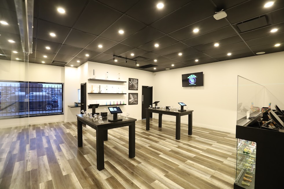 WOW WORLD OF WEED | 3412 Weston Rd, North York, ON M9M 2W2, Canada | Phone: (416) 743-1234