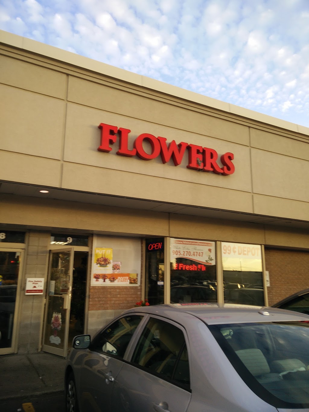 White Lotus Flowers | 325 Central Pkwy W #9, Mississauga, ON L5B 3X9, Canada | Phone: (905) 270-4747