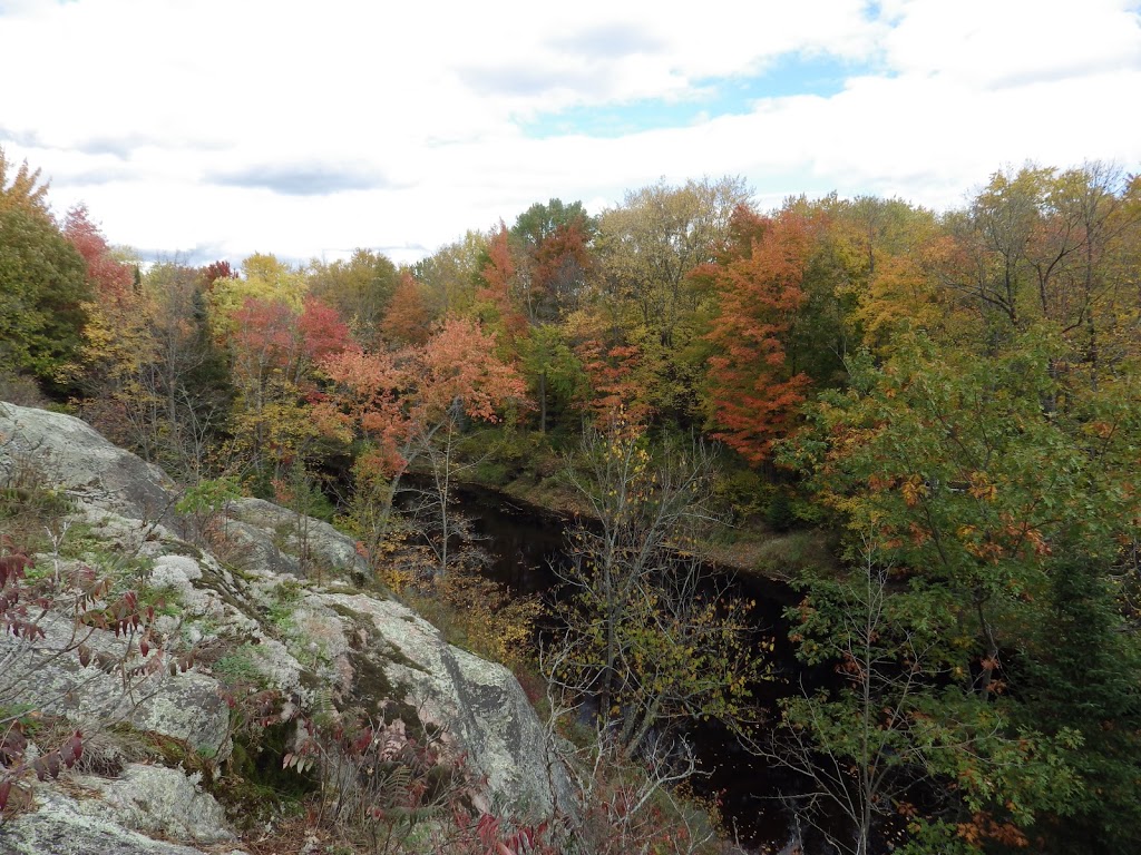 Ron Reid Nature Reserve | Black River Rd, Washago, ON L0K 2B0, Canada | Phone: (705) 326-1620