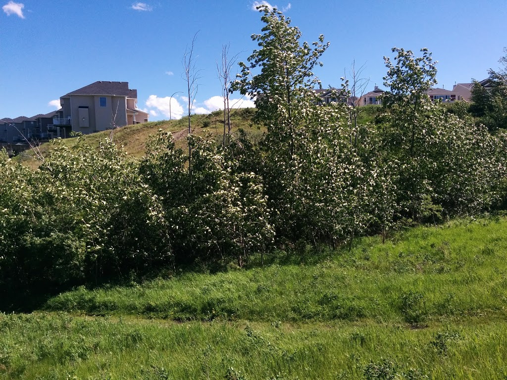 Mitra Natural Ravine Park | 194 Royal Birkdale Crescent NW, Calgary, AB T3G 5R8, Canada