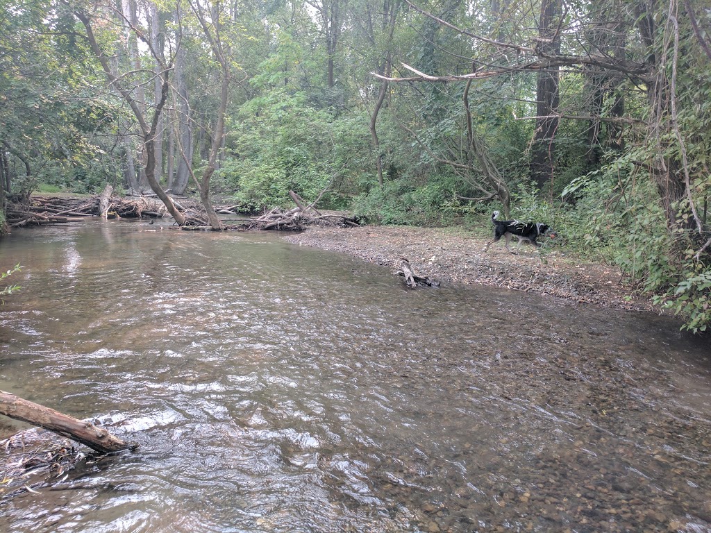 Creekside Off-Leash Dogpark | Coldstream, BC V1B, Canada