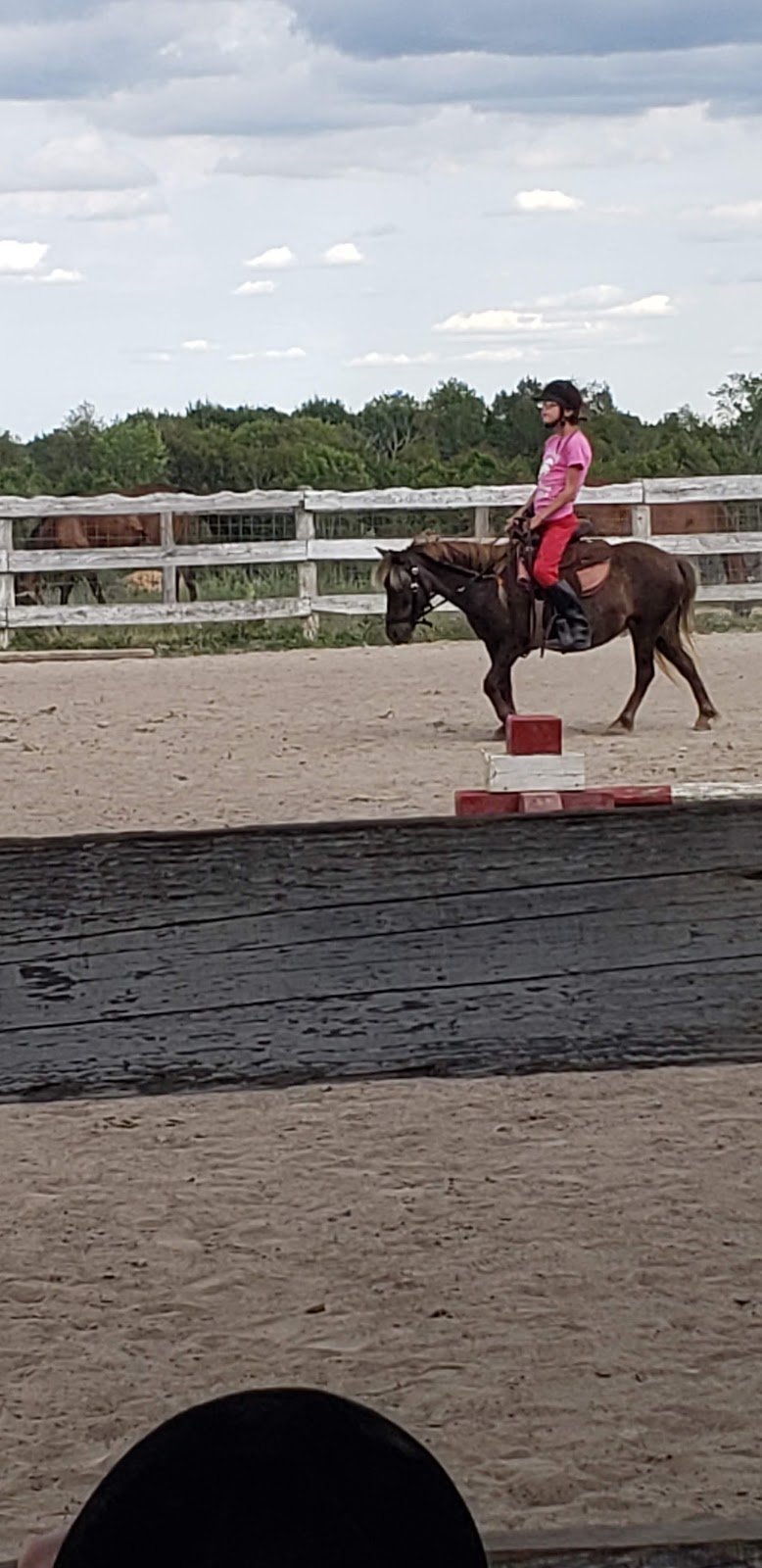 Valentia Equine Retraining Centre | 188 Valentia Rd, Little Britain, ON K0M 2C0, Canada | Phone: (705) 786-2226