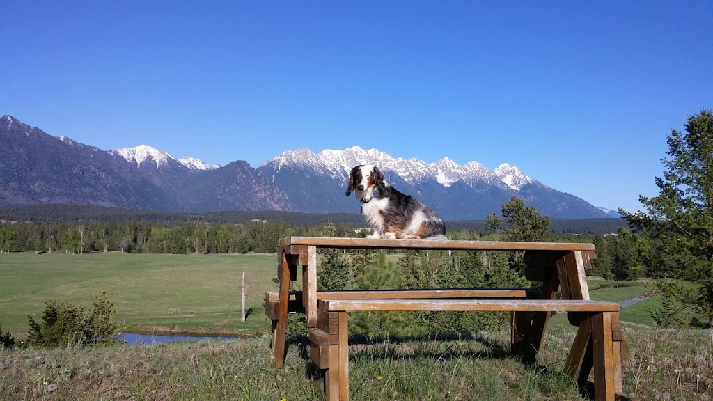 Rocky View Ranch | East Kootenay C, BC V0B 1N0, Canada | Phone: (250) 426-2857