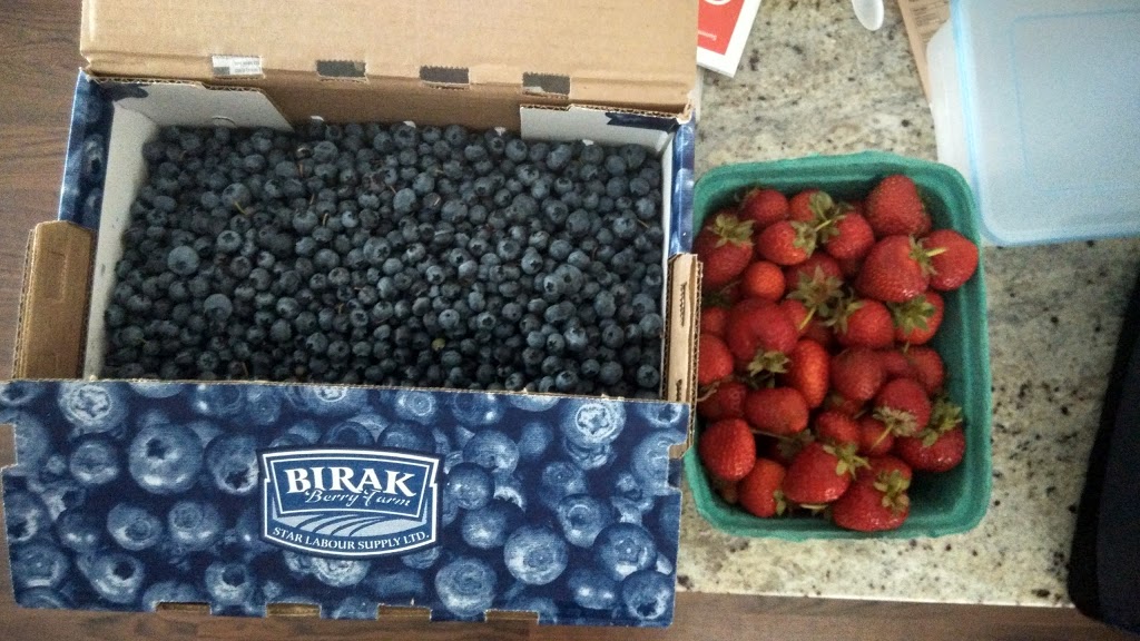 Birak Berry Farm | 3600 No 6 Rd, Richmond, BC V6V 1P5, Canada | Phone: (604) 781-3795