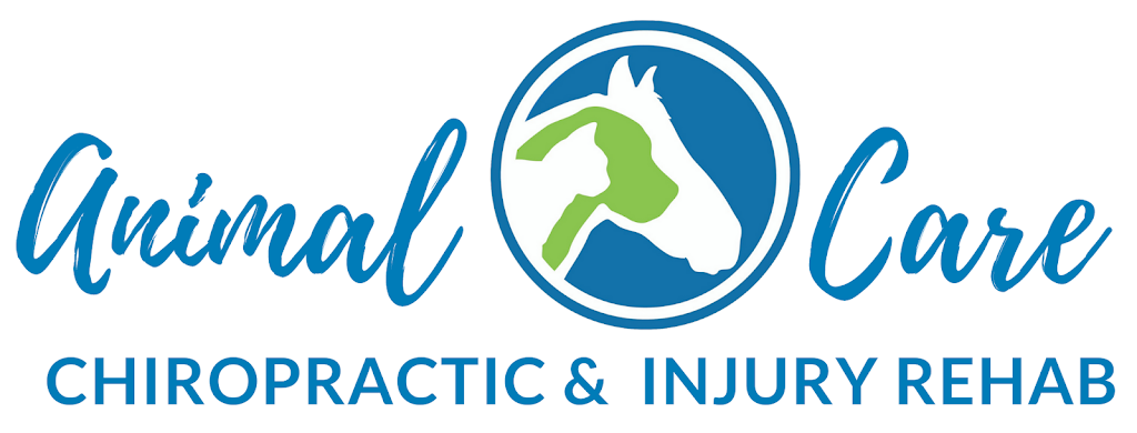 Animal Care: Chiropractic & Communication with Dr. Angela Martin-King | 203 John St, Stayner, ON L0M 1S0, Canada | Phone: (705) 888-1114