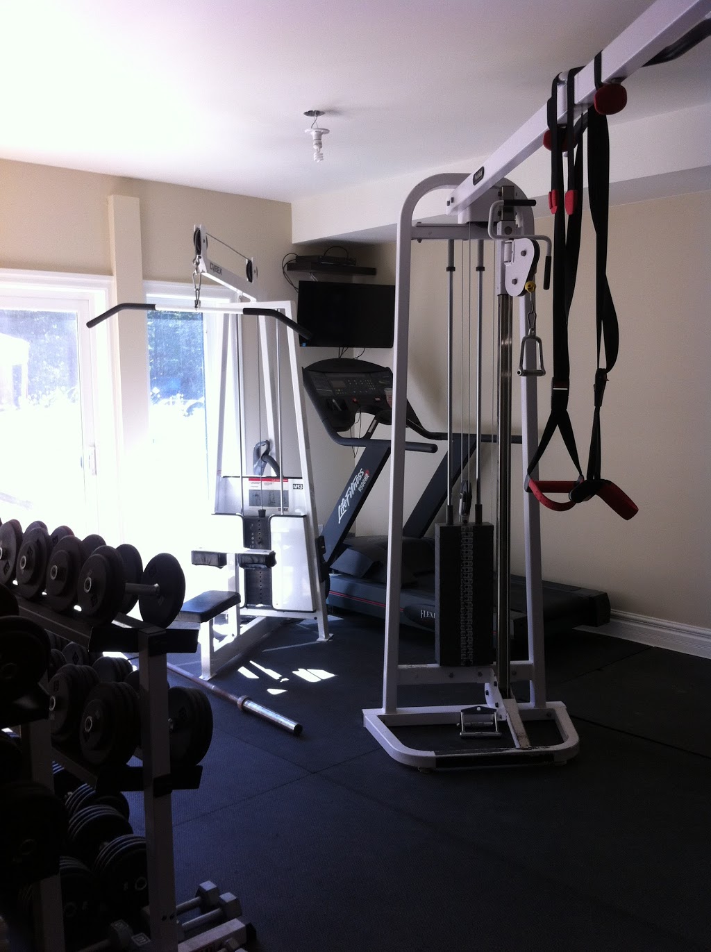 Muscleworks | 21672 McCowan Rd, Mount Albert, ON L0G 1M0, Canada | Phone: (905) 853-3336