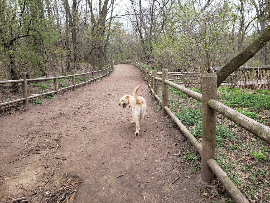 High Park Dog Off Leash Area | 1873 Bloor St W, Toronto, ON M6R 2Z3, Canada | Phone: (416) 338-0338