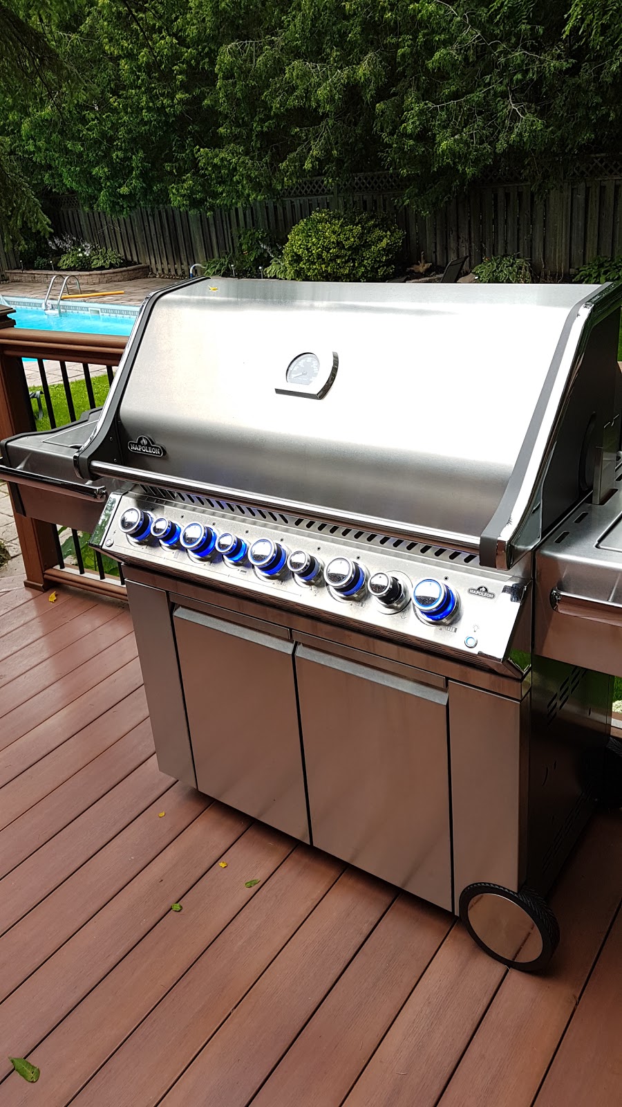 Dolphin Pools & BBQS | 883 Mulock Dr #1, Newmarket, ON L3Y 8S3, Canada | Phone: (905) 953-7946