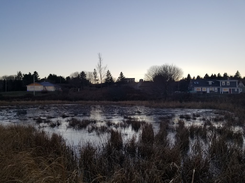 Lower Rose Bay Cemetery | 501 Kingsburg Rd, Rose Bay, NS B0J 2X0, Canada