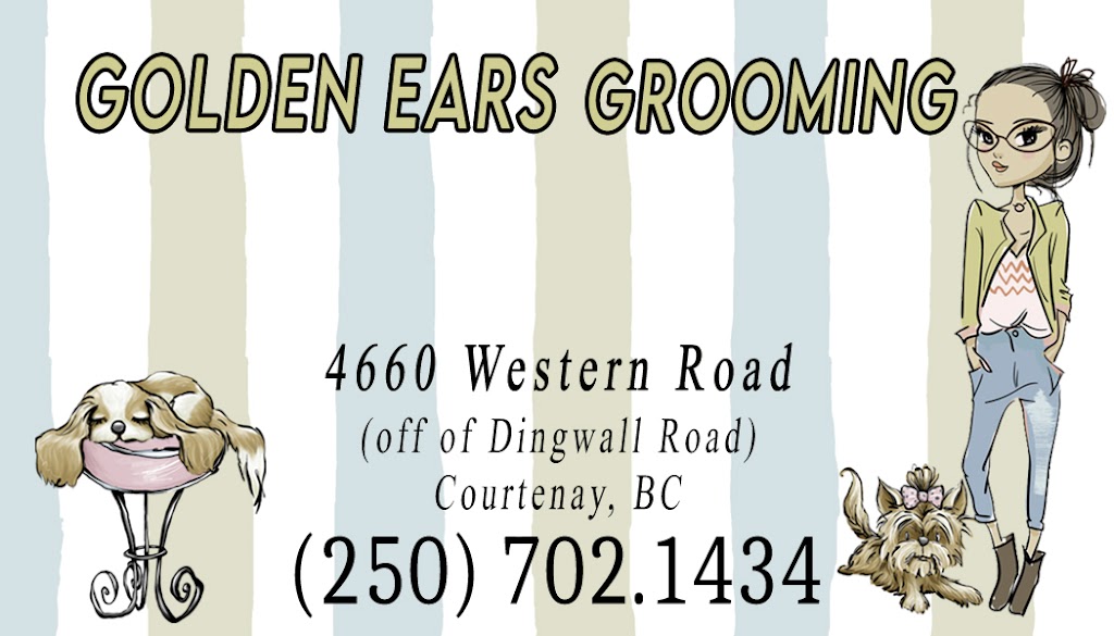 Golden Ears Grooming | 4660 Western Rd, Courtenay, BC V9N 3T2, Canada | Phone: (250) 702-1434