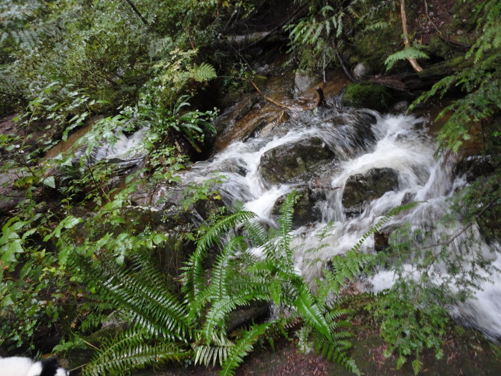 Lower Seymour Conservation Reserve | 2369 Lillooet Rd, North Vancouver, BC V7J 2H9, Canada | Phone: (778) 452-4583