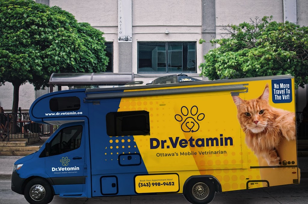 Dr. Vetamin - Ottawa Mobile Veterinary Services | 23 Finglas Ct, Ottawa, ON K2J 6Y6, Canada | Phone: (343) 998-9452