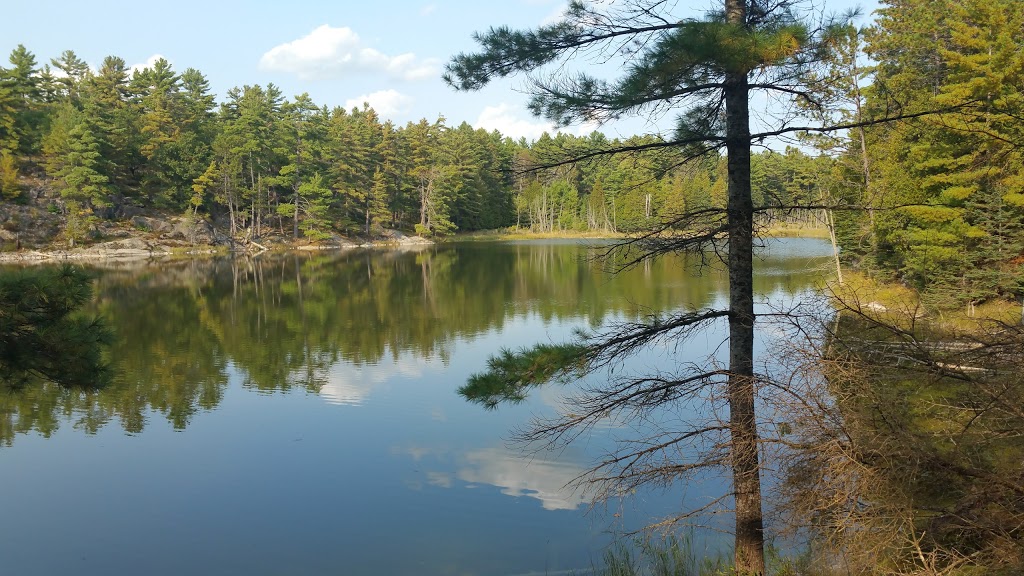 Petroglyphs Provincial Park | 2249 Northeys Bay Rd, Woodview, ON K0L 3E0, Canada | Phone: (705) 877-2552