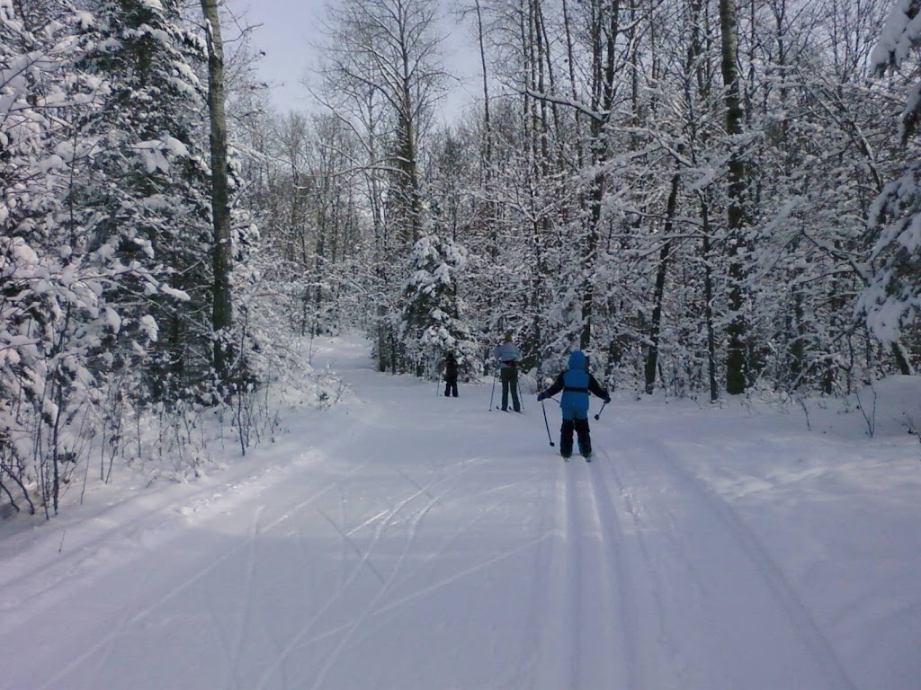 Kawartha Nordic Ski Club | Nordic Ski Ln, North Kawartha, ON K0L 2H0, Canada | Phone: (705) 931-5672