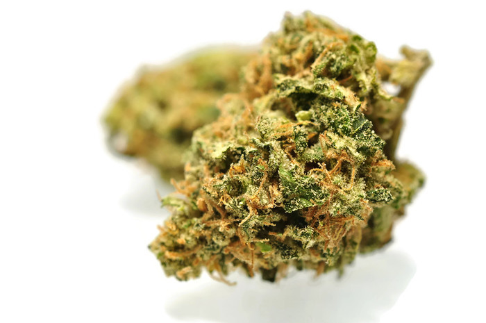 Candelivery Online Dispensary | 125 The Queensway #15363, Etobicoke, ON M8Y 0B4, Canada | Phone: (647) 631-1704