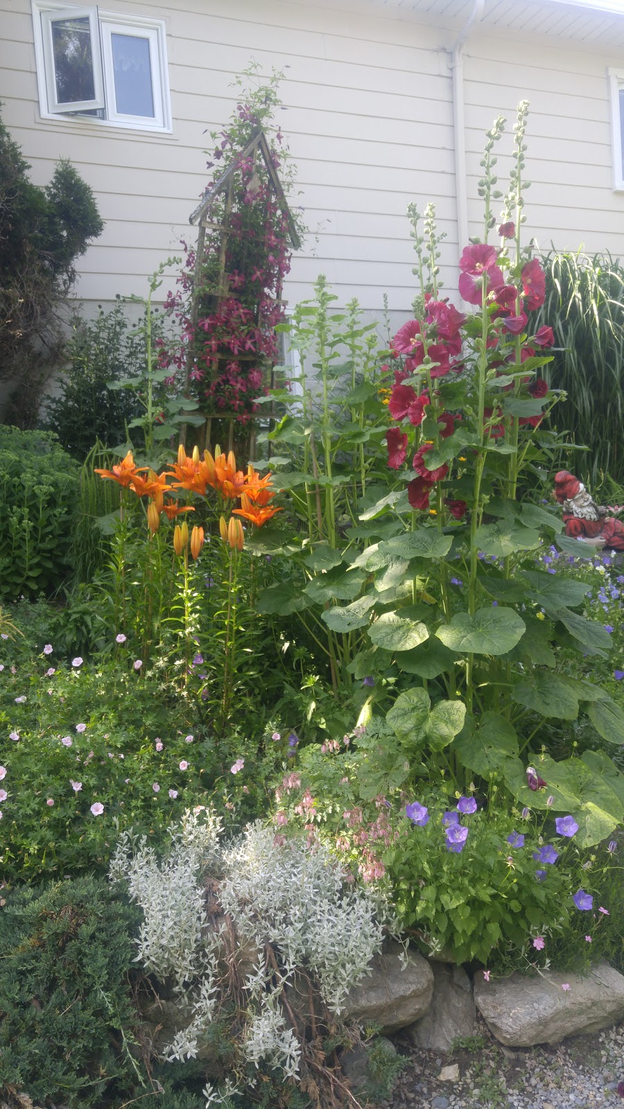 Fernands Perennial Garden | 480 QC-112, East Angus, QC J0B 1R0, Canada | Phone: (819) 832-2714