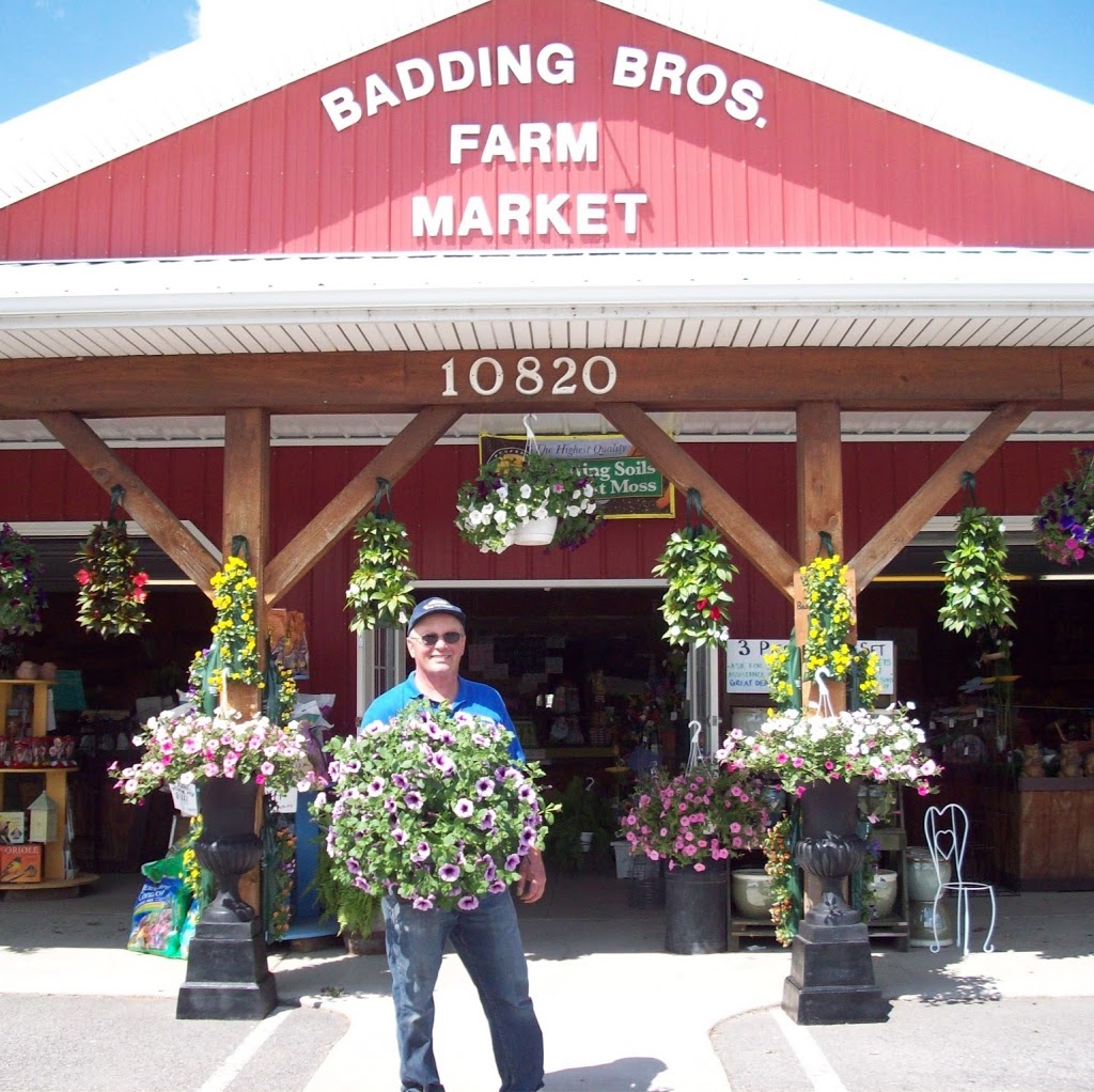 Badding Bros Farm Market and Garden Center | 10820 Transit Rd, East Amherst, NY 14051, USA | Phone: (716) 636-7824