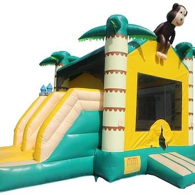 Entertainment Oasis inflatables | 167 Victoria St S, Tweed, ON K0K 3J0, Canada | Phone: (519) 608-7877