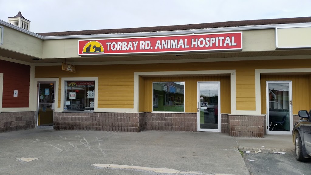 Torbay Road Animal Hospital | 286 Torbay Rd, St. Johns, NL A1A 4L6, Canada | Phone: (709) 753-0506