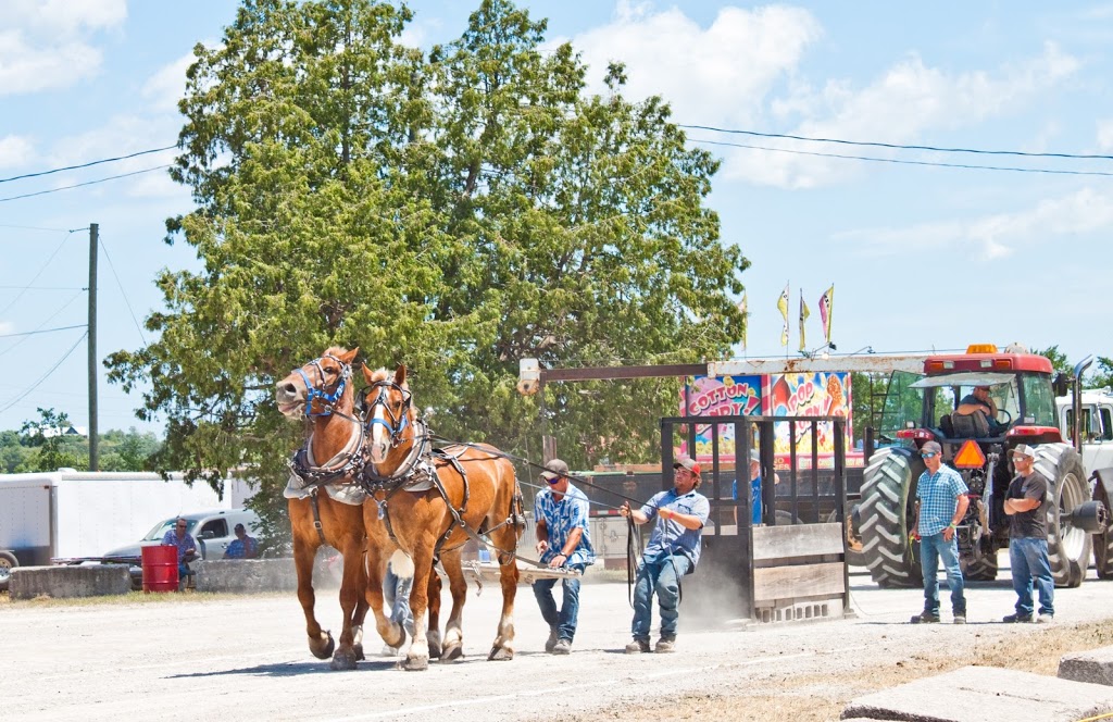 Fenelon Agricultural Society | 27 Veterans Way, Fenelon Falls, ON K0M 1N0, Canada | Phone: (705) 887-9403