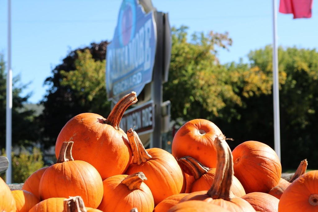 Cannamore Orchard | 1480 County Rd 32, Crysler, ON K0A 1R0, Canada | Phone: (613) 448-3633