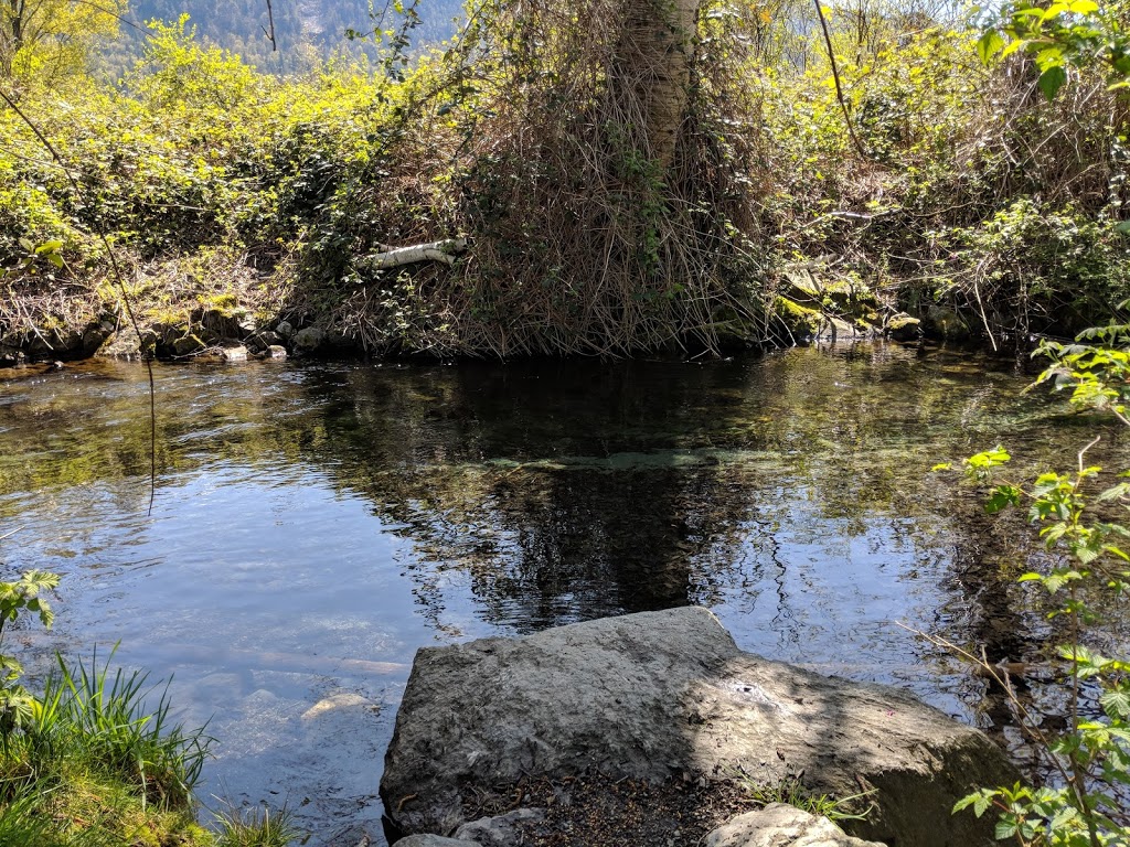 Lickman Vedder River Parking Lot | Greendale, Chilliwack, BC V2R, Canada