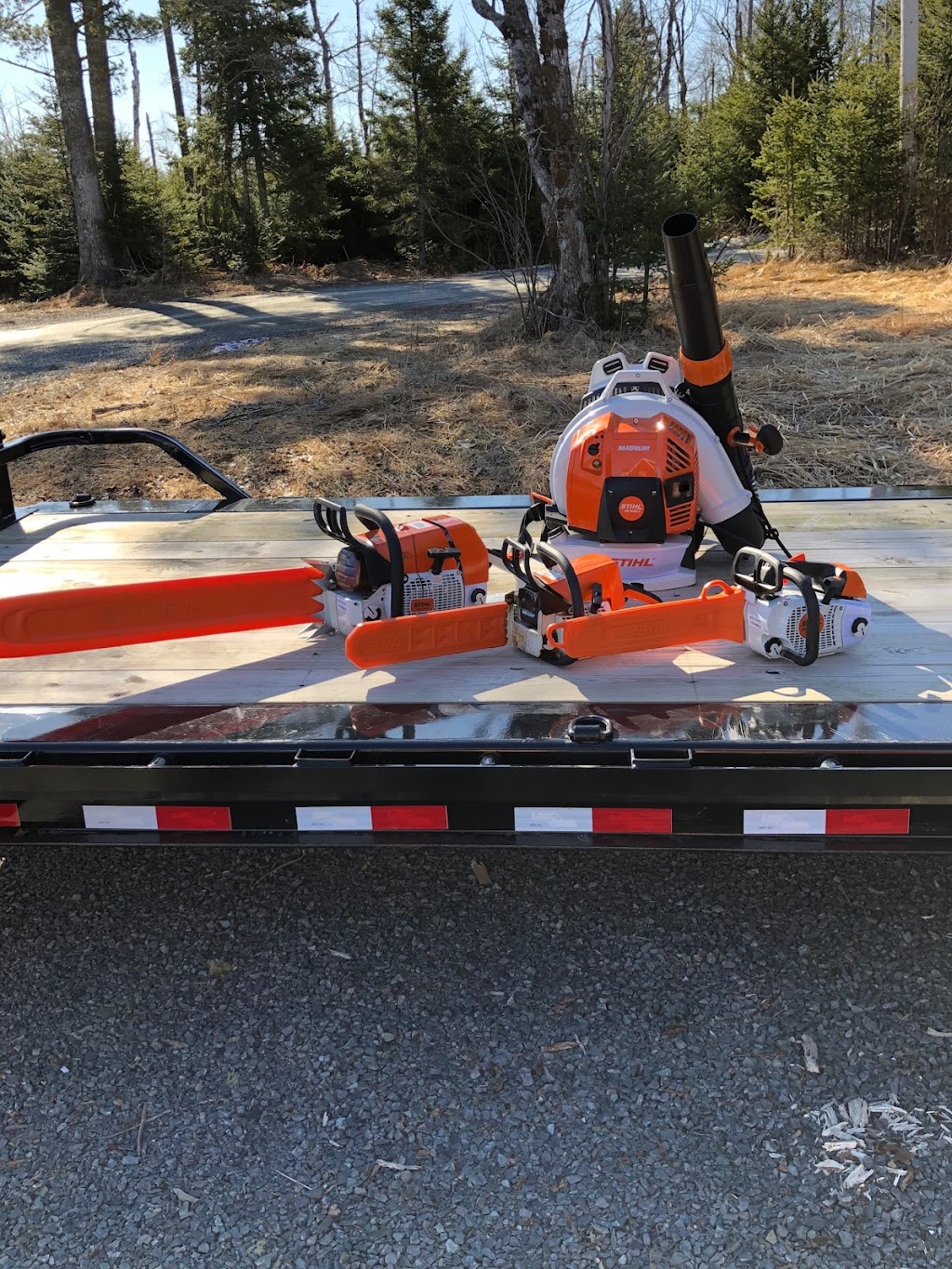 Storm Chasers Tree Care & Removal Ltd. | 35 Sawdust Rd, Mount Uniacke, NS B0N 1Z0, Canada | Phone: (902) 943-0299