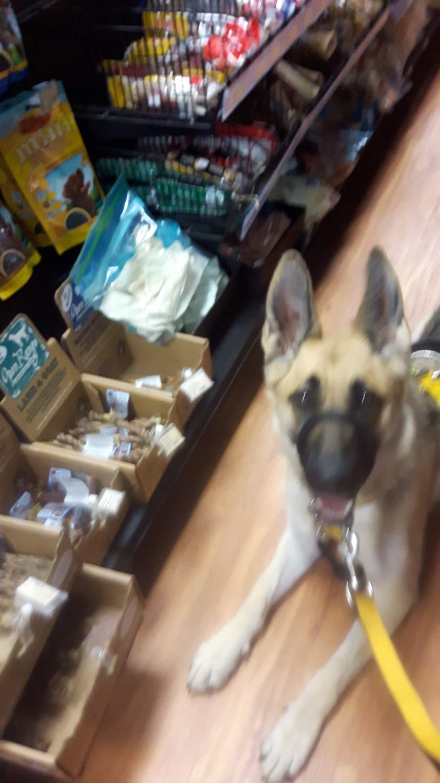 Pet Valu | 1535 ON-7A, Port Perry, ON L9L 1B5, Canada | Phone: (905) 985-3223