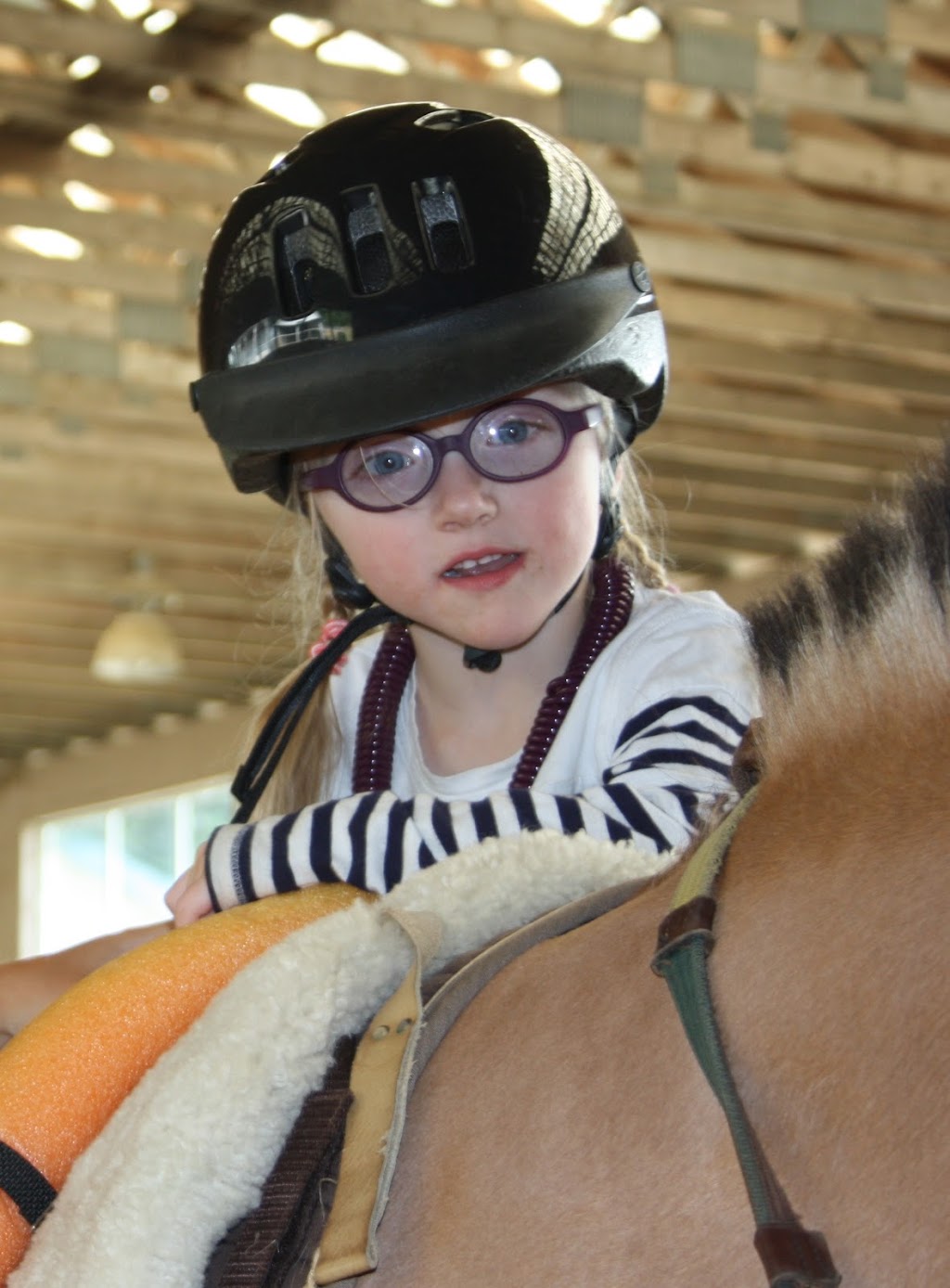 Cowichan Therapeutic Riding Association | 1843 Tzouhalem Rd, Duncan, BC V9L 5L6, Canada | Phone: (250) 746-1028