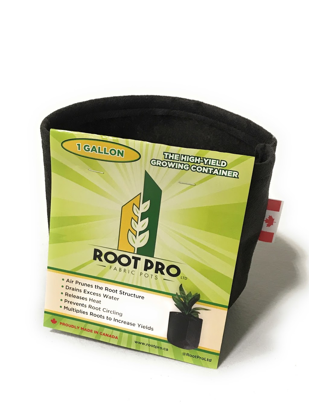 RootPro | 95 Gerald Pkwy, Thorndale, ON N0M 2P0, Canada | Phone: (226) 448-8923