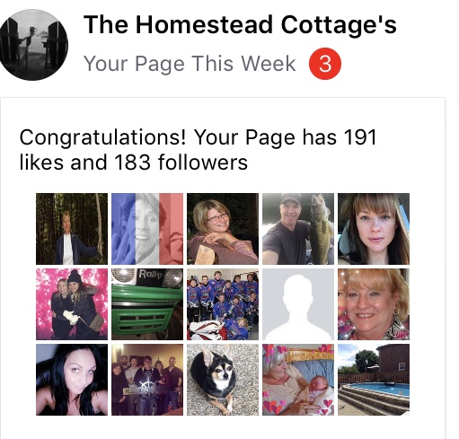 The Homestead Cottage’s | 16527 ON-35, Algonquin Highlands, ON K0M 1J1, Canada | Phone: (705) 489-2550