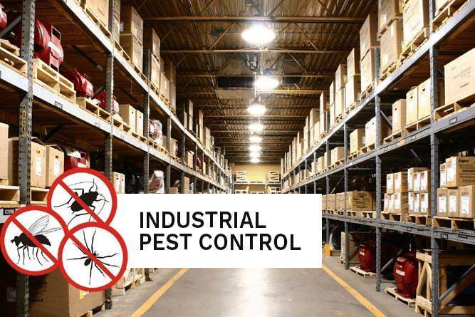 AR Pest Control Toronto | 155 Bob Yuill Dr, Toronto, ON M9M 0B1, Canada | Phone: (416) 432-2900