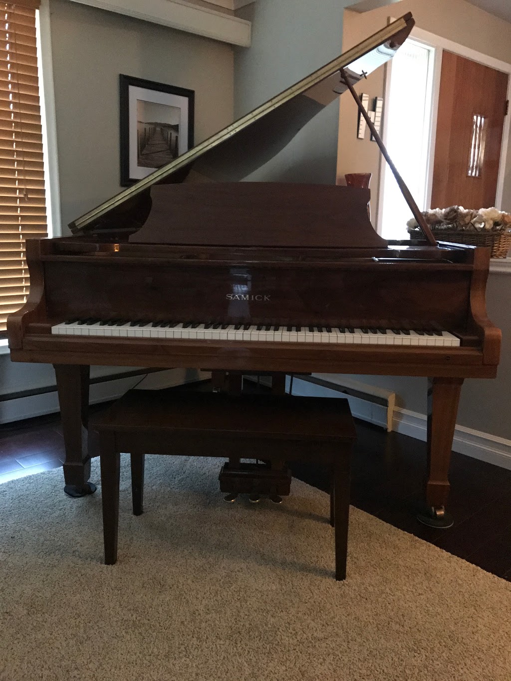 Haines Piano Service | 72 Pleasant Ridge Rd, Brantford, ON N3R 0B8, Canada | Phone: (519) 752-1431